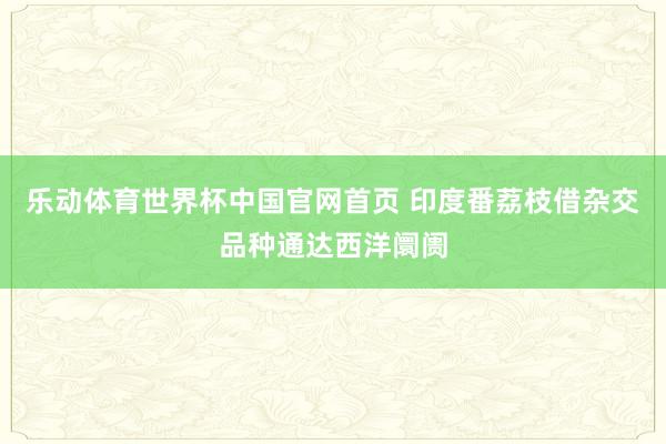 乐动体育世界杯中国官网首页 印度番荔枝借杂交品种通达西洋阛阓