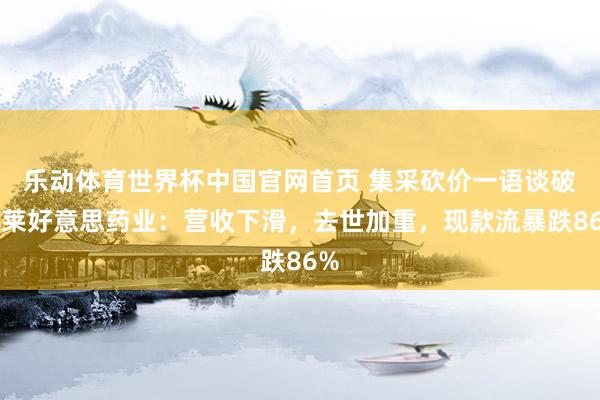 乐动体育世界杯中国官网首页 集采砍价一语谈破！莱好意思药业：营收下滑，去世加重，现款流暴跌86%