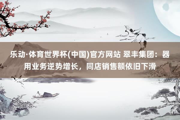 乐动·体育世界杯(中国)官方网站 翠丰集团：器用业务逆势增长，同店销售额依旧下滑