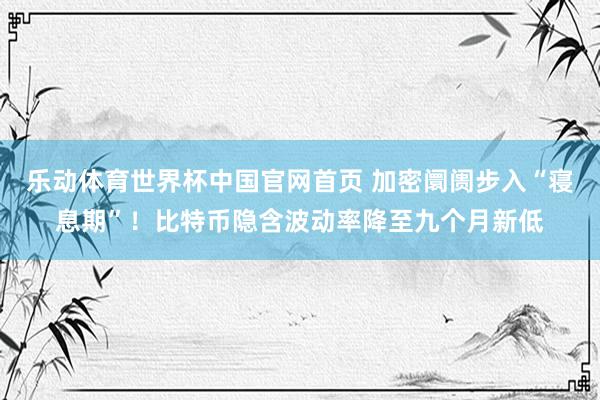 乐动体育世界杯中国官网首页 加密阛阓步入“寝息期”！比特币隐含波动率降至九个月新低