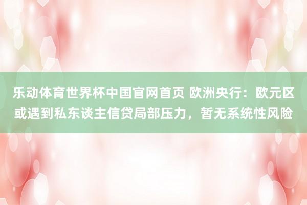 乐动体育世界杯中国官网首页 欧洲央行：欧元区或遇到私东谈主信贷局部压力，暂无系统性风险