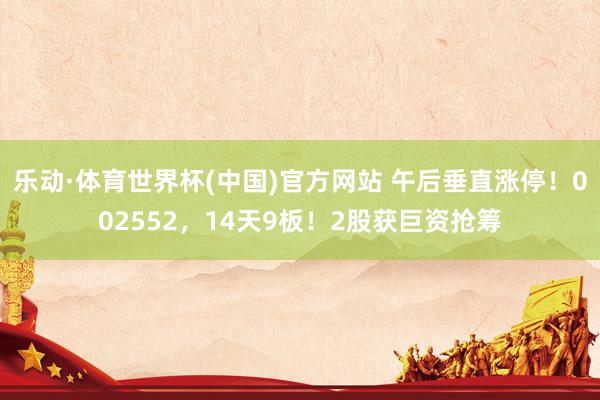 乐动·体育世界杯(中国)官方网站 午后垂直涨停！002552，14天9板！2股获巨资抢筹