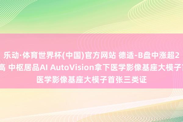 乐动·体育世界杯(中国)官方网站 德适-B盘中涨超22%再篡改高 中枢居品AI AutoVision拿下医学影像基座大模子首张三类证