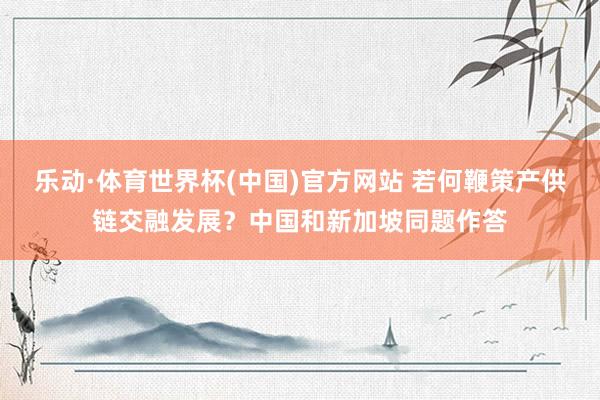 乐动·体育世界杯(中国)官方网站 若何鞭策产供链交融发展？中国和新加坡同题作答