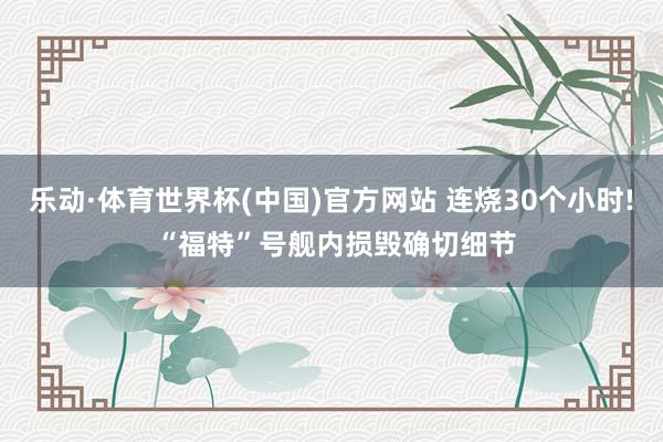 乐动·体育世界杯(中国)官方网站 连烧30个小时! “福特”号舰内损毁确切细节