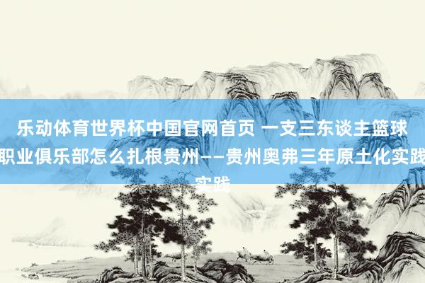 乐动体育世界杯中国官网首页 一支三东谈主篮球职业俱乐部怎么扎根贵州——贵州奥弗三年原土化实践