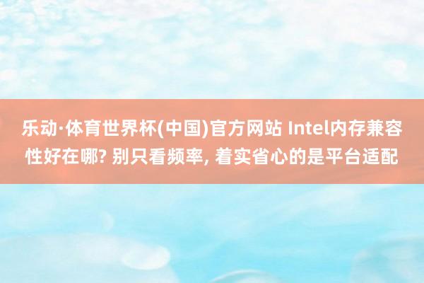乐动·体育世界杯(中国)官方网站 Intel内存兼容性好在哪? 别只看频率， 着实省心的是平台适配