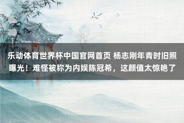 乐动体育世界杯中国官网首页 杨志刚年青时旧照曝光！难怪被称为内娱陈冠希，这颜值太惊艳了
