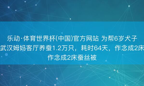 乐动·体育世界杯(中国)官方网站 为帮6岁犬子圆梦，武汉姆妈客厅养蚕1.2万只，耗时64天，作念成2床蚕丝被