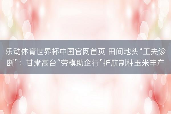 乐动体育世界杯中国官网首页 田间地头“工夫诊断”:甘肃高台“劳模助企行”护航制种玉米丰产