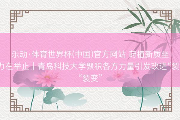 乐动·体育世界杯(中国)官方网站 莳植新质坐褥力在举止｜青岛科技大学聚积各方力量引发改进“裂变”