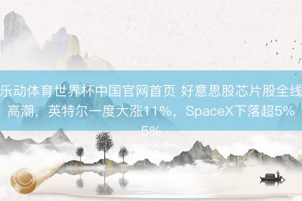 乐动体育世界杯中国官网首页 好意思股芯片股全线高潮,英特尔一度大涨11%,SpaceX下落超5%