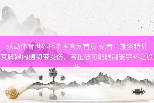 乐动体育世界杯中国官网首页 记者：施洛特贝克脚踝内侧韧带受伤，若扯破可能限制寰宇杯之旅